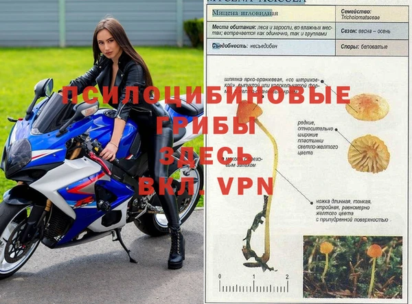 кокаин колумбия Гусь-Хрустальный