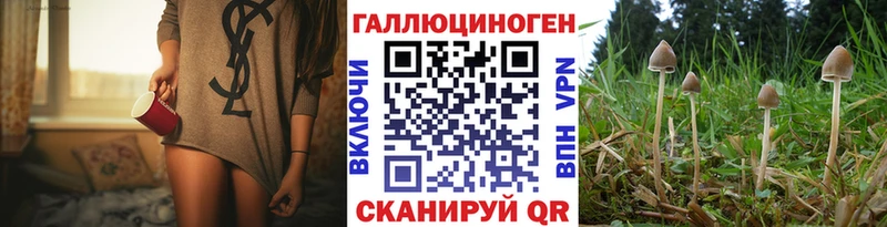 Псилоцибиновые грибы Psilocybe  Купить где  Соль-Илецк 